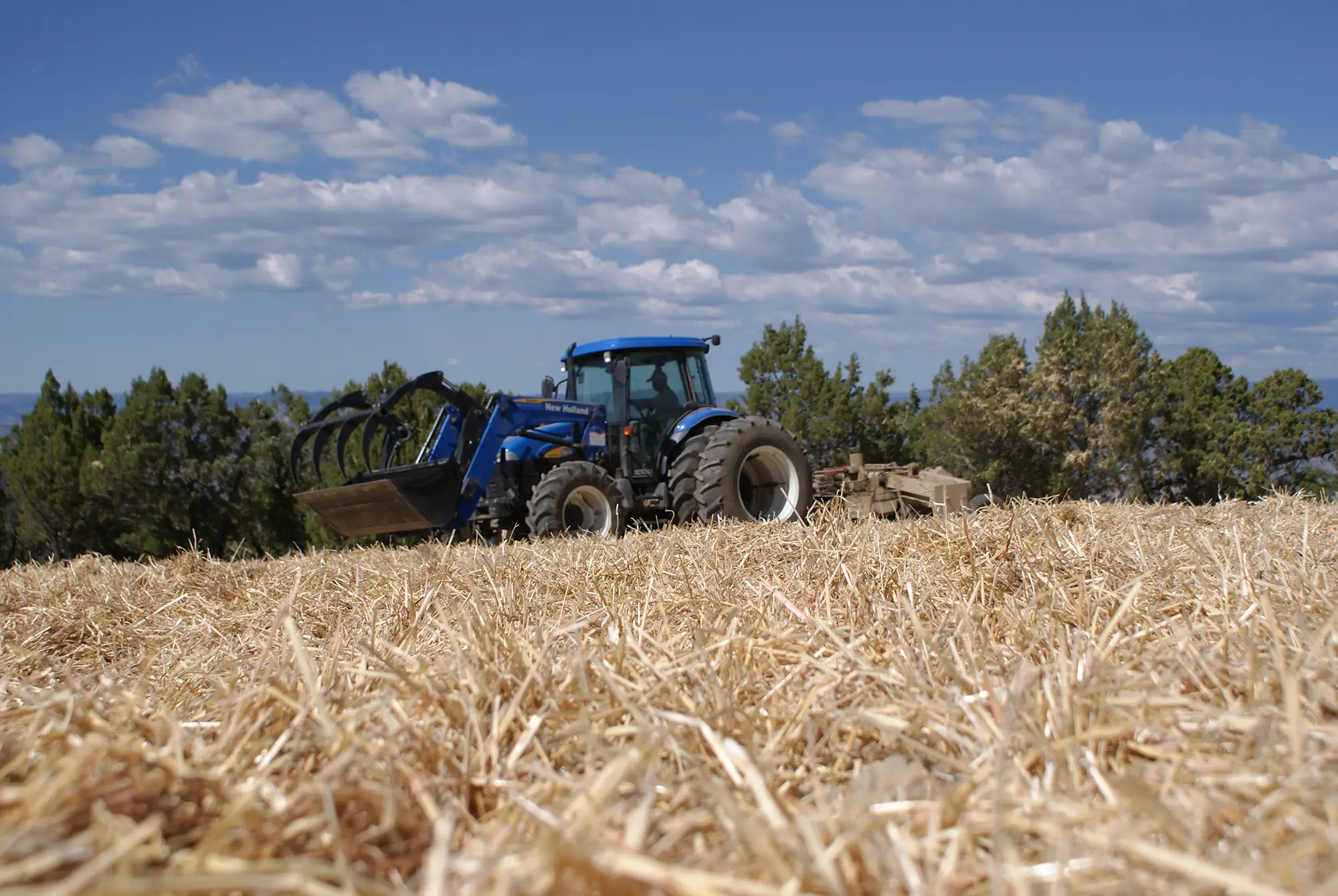 CDI Services Tractor Erosion Control
